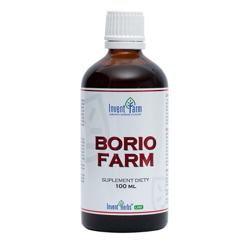 Borio Invent.jpg