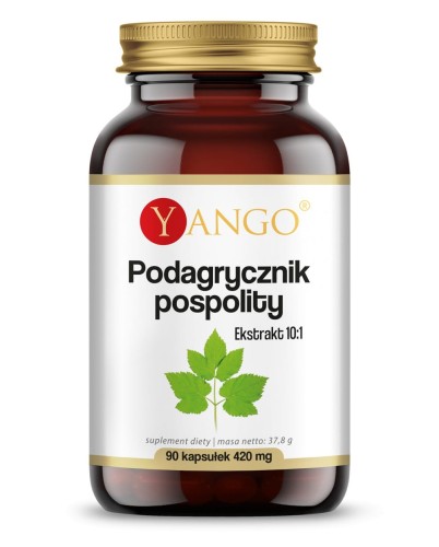 Podagrycznik pospolity na trawienie dna moczanowa podagra- ekstrakt - 90 kaps.